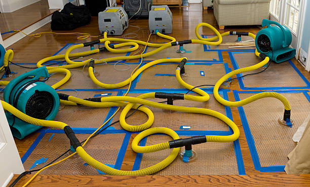 Professional Sewage Cleanup technician working in Edinburg, IL